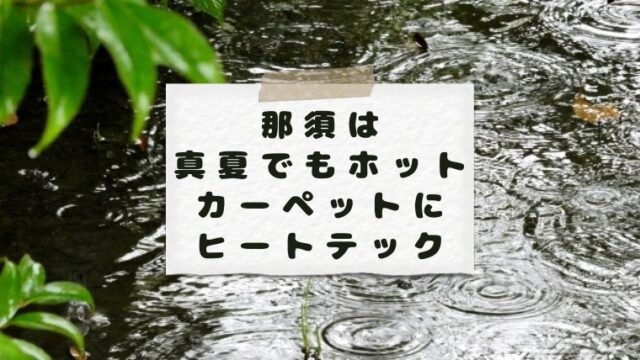 那須は真夏でもホットカーペットにヒートテック