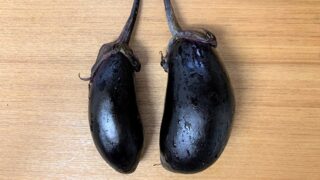 家庭菜園のナス