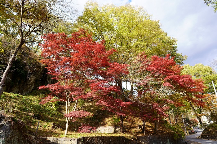 栃木県大谷