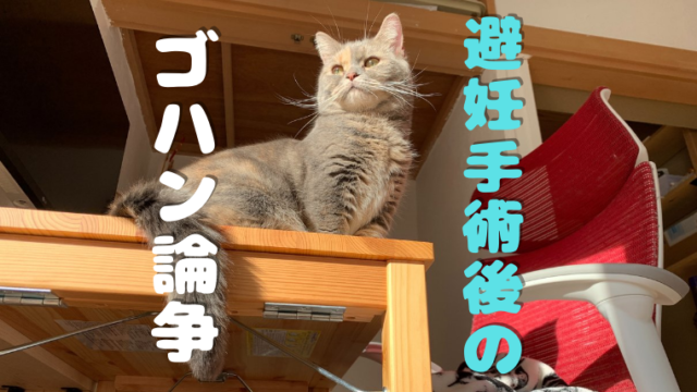 マンチカン