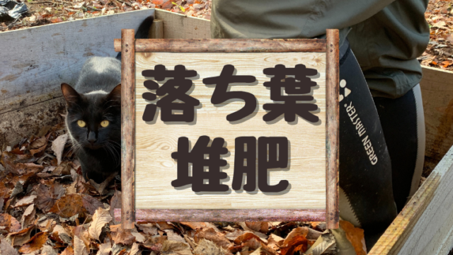 落ち葉 堆肥