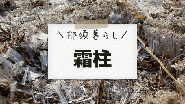 霜柱
