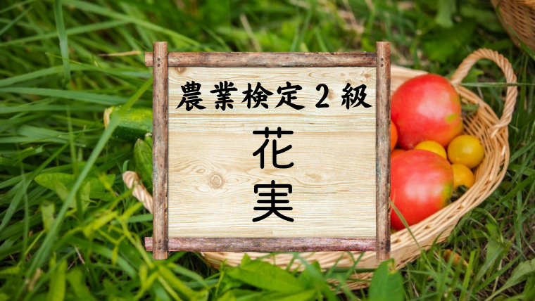 野菜作りについてきちんと勉強してみる 花 実 農業検定対策 ちょ田舎暮らし