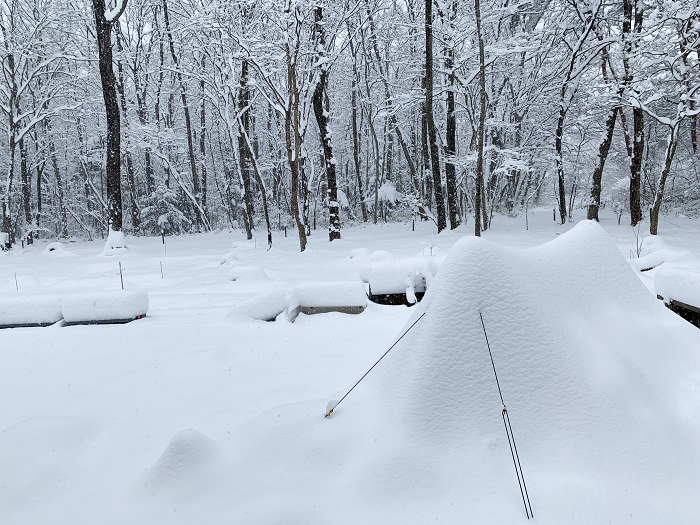 那須の雪2021