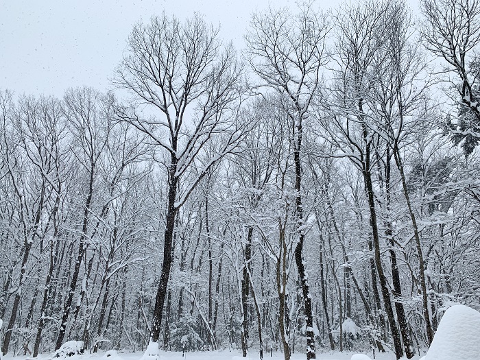 那須の雪2021