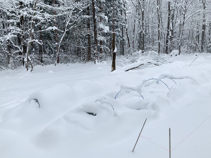 那須の雪2021