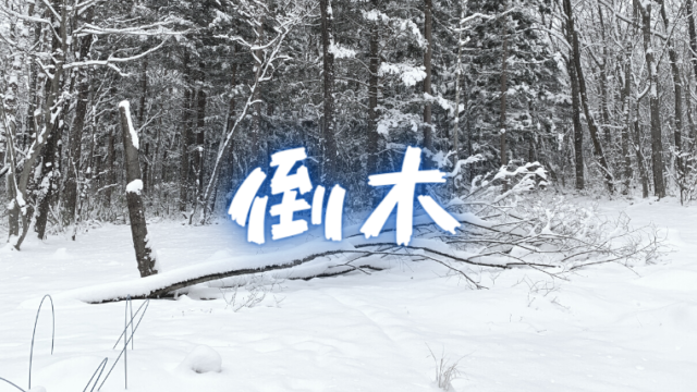 倒木