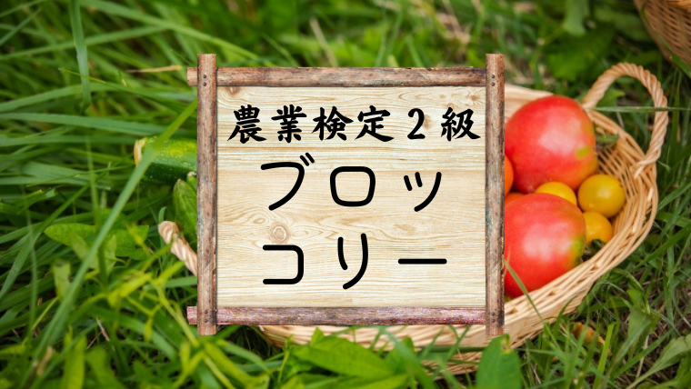 野菜作りについてきちんと勉強してみる ブロッコリー 農業検定対策 ちょ田舎暮らし アラフォー独女と猫様