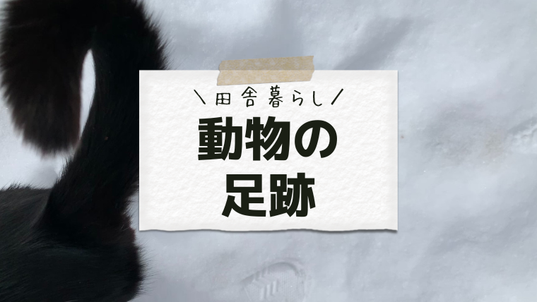 ちょ田舎さんぽ 野生動物の足跡がいっぱい ちょ田舎暮らし