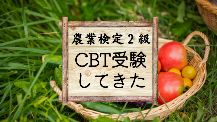 CBT方式受験