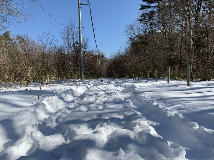 雪道