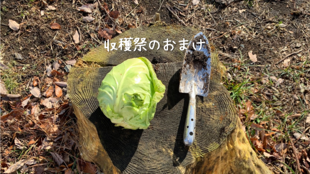収穫祭