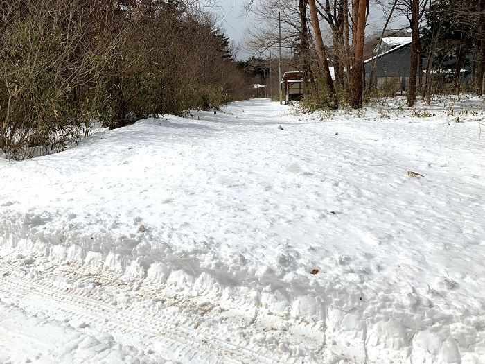 3月の雪