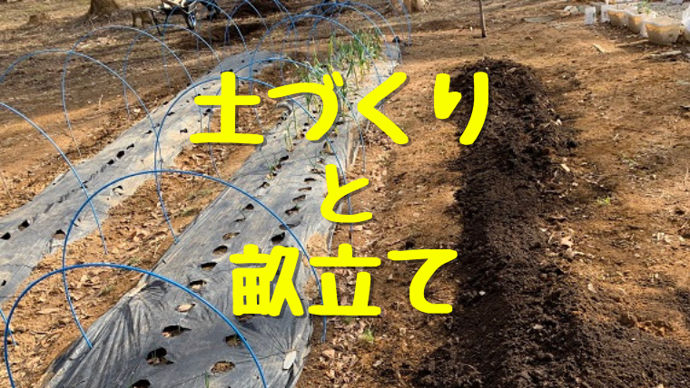 家庭菜園２年生 畝３本目の設立 ジャガイモ終わってた ちょ田舎暮らし