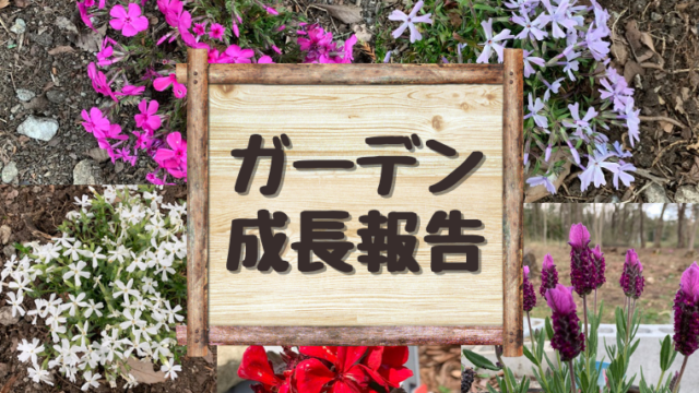ガーデン