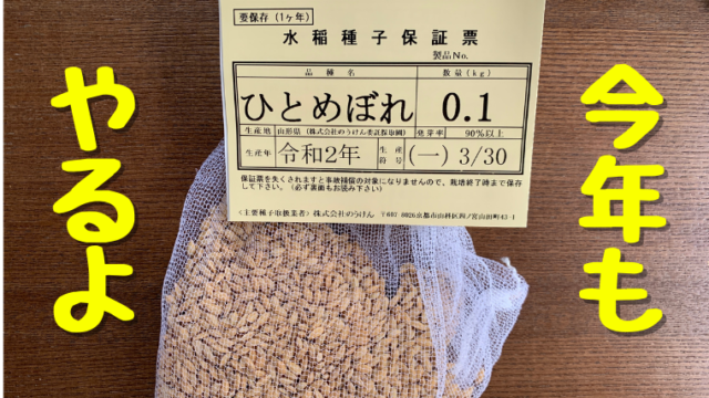 素人米作り