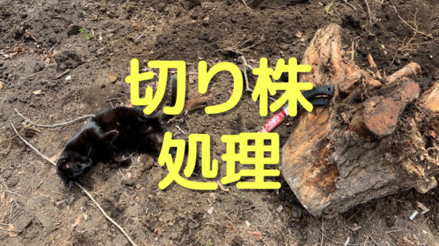 切り株処理