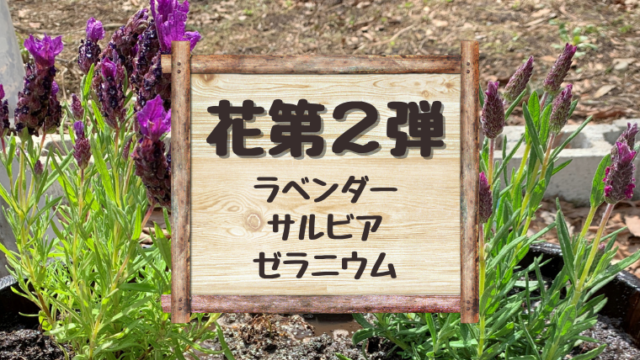 花壇