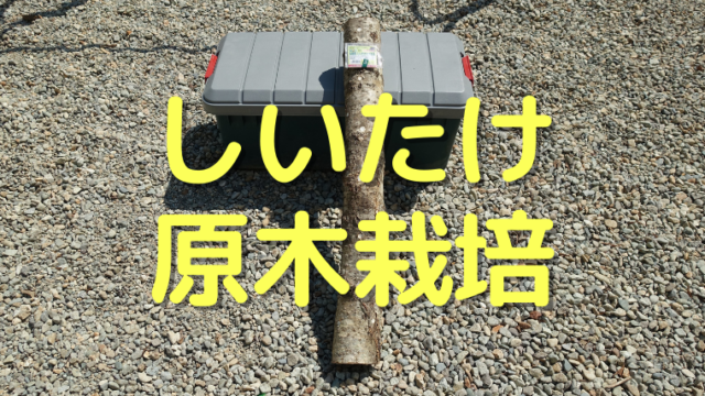 しいたけ 原木栽培
