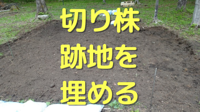 切り株 跡地を埋める