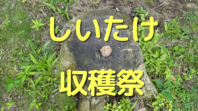 椎茸原木栽培
