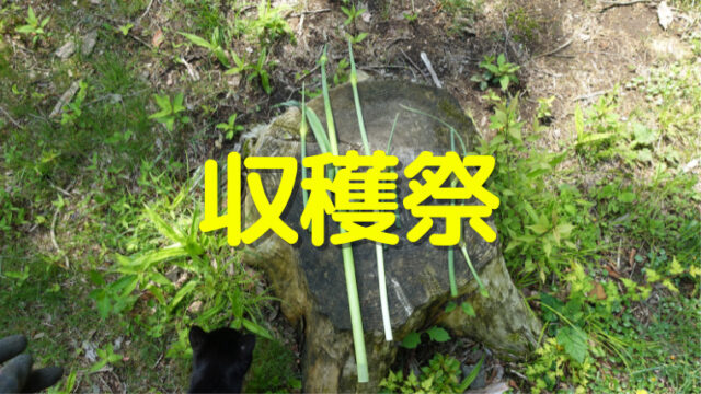 収穫祭