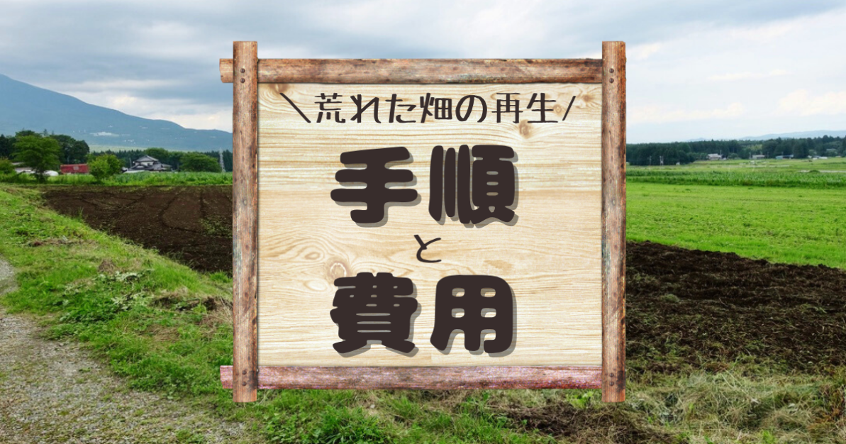 荒れた畑の再生