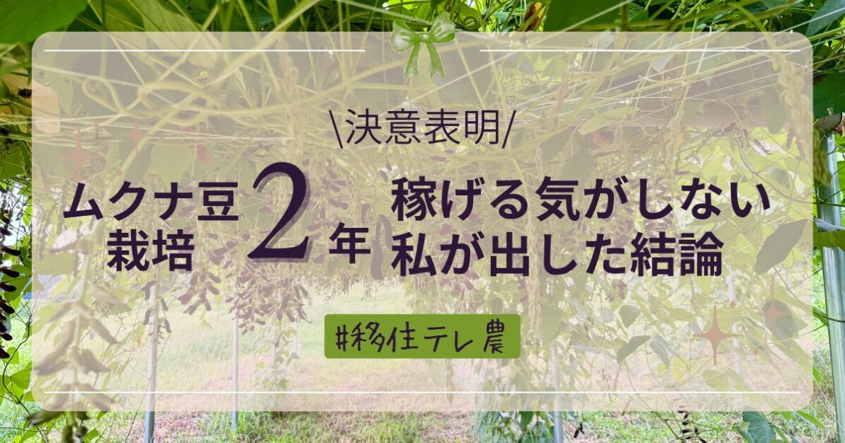 移住者が農業