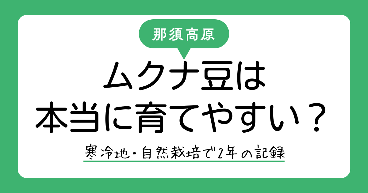 ムクナ豆は本当に育てやすい？